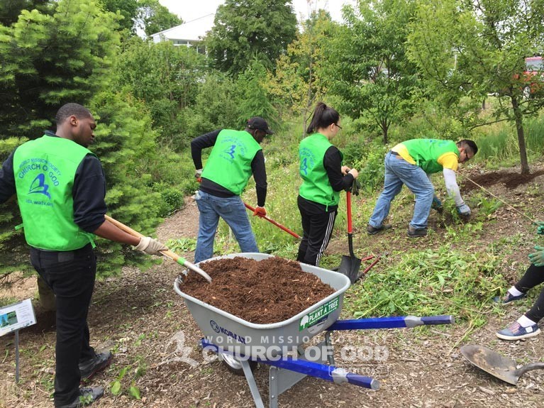 Dodge Park, cleanup, MA, Massachusetts, Boston, Springfield, volunteer, volunteerism, trash, garbage, environmental protection, environment, campaign, Worcester, tree initiative