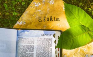 elohim
